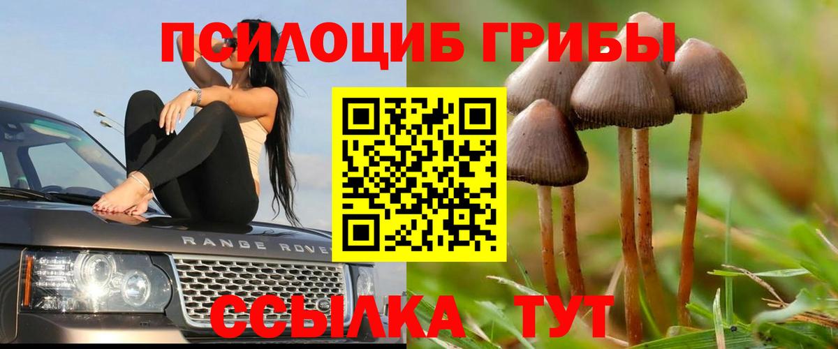 где найти   Вход с VPN  Чебаркуль  Псилоцибиновые грибы MAGIC MUSHROOMS 